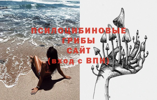 твердый Касимов