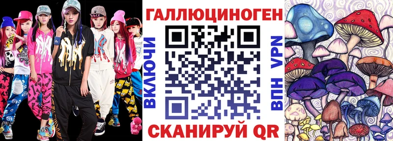 Купить где  Зерноград  Псилоцибиновые грибы Psilocybe 